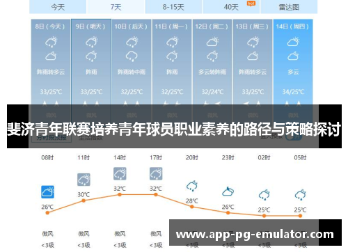 斐济青年联赛培养青年球员职业素养的路径与策略探讨