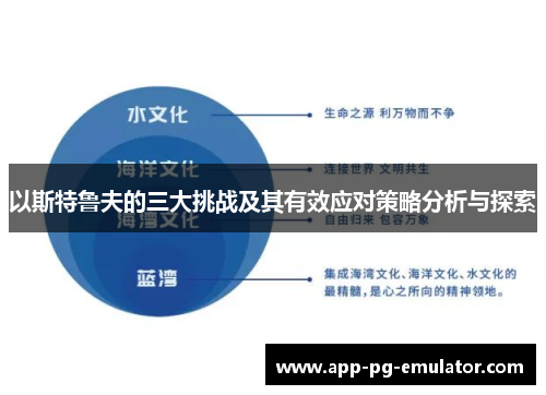 以斯特鲁夫的三大挑战及其有效应对策略分析与探索