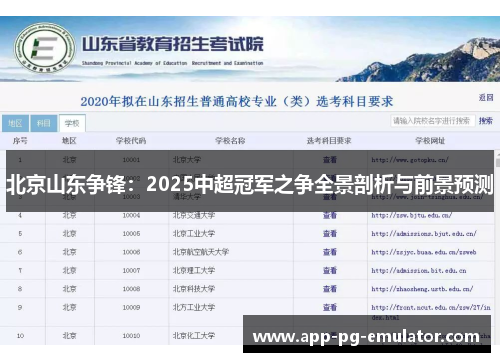 北京山东争锋：2025中超冠军之争全景剖析与前景预测