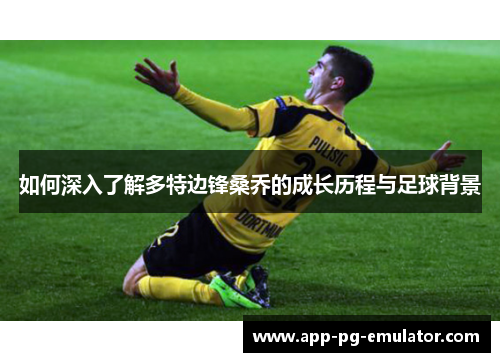 如何深入了解多特边锋桑乔的成长历程与足球背景