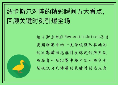 纽卡斯尔对阵的精彩瞬间五大看点，回顾关键时刻引爆全场