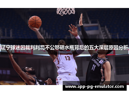 辽宁球迷因裁判判罚不公怒砸水瓶背后的五大深层原因分析 辽宁球迷因裁判判罚不公怒砸水瓶背后的五大深层原因分析