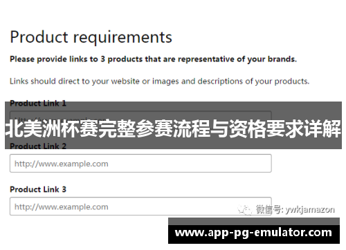 北美洲杯赛完整参赛流程与资格要求详解