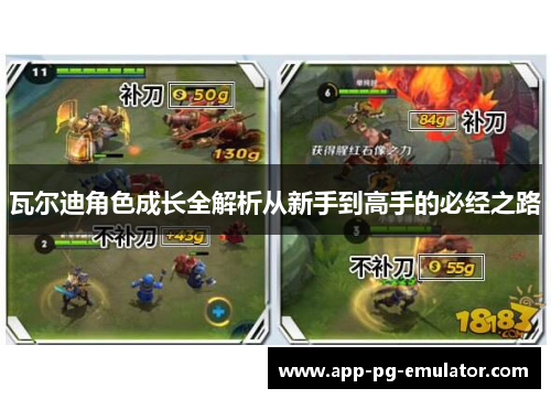 瓦尔迪角色成长全解析从新手到高手的必经之路